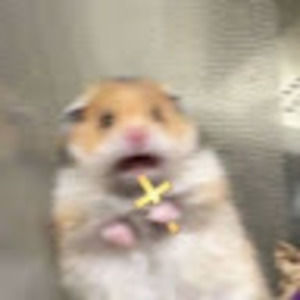 Meet your Posher, Randy